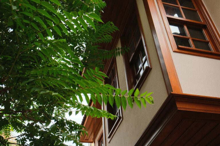 dario-daniel-silva-f8RTl2DuWX0-unsplash